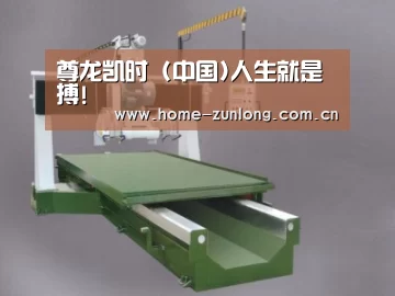 产品名称十