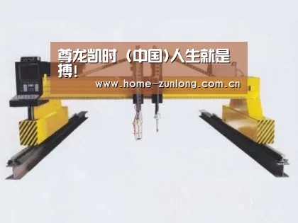 产品名称十八