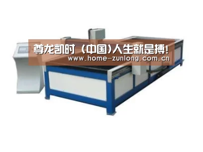 产品名称九