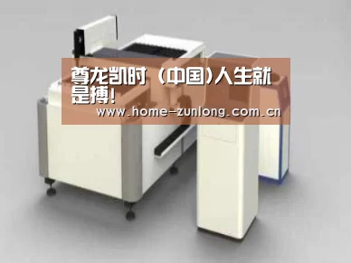 产品名称十五