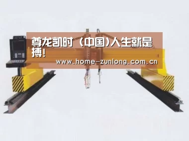 产品名称十九