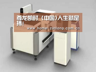 产品名称十三
